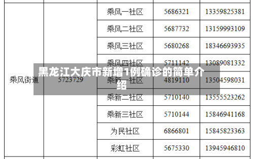 黑龙江大庆市新增1例确诊的简单介绍