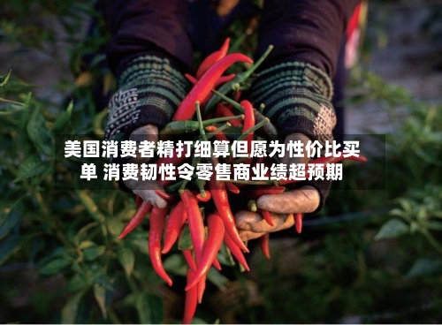 美国消费者精打细算但愿为性价比买单 消费韧性令零售商业绩超预期-第2张图片