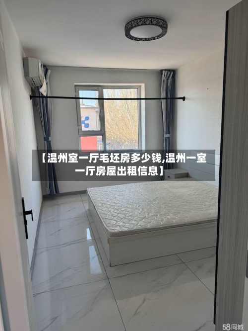 【温州室一厅毛坯房多少钱,温州一室一厅房屋出租信息】