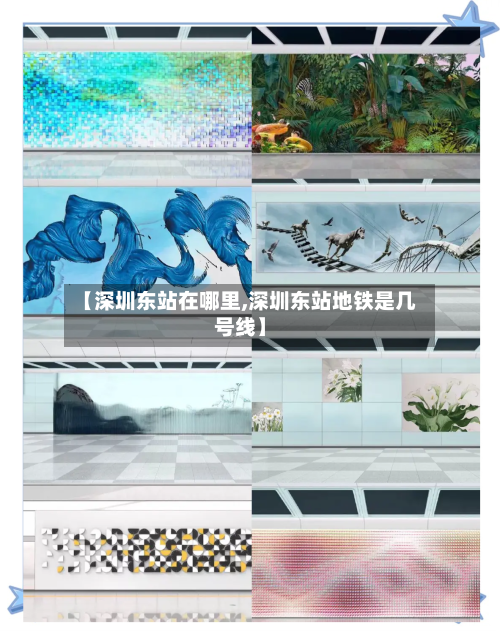 【深圳东站在哪里,深圳东站地铁是几号线】-第2张图片