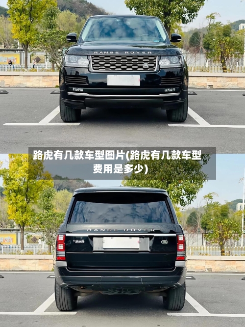 路虎有几款车型图片(路虎有几款车型费用是多少)-第2张图片