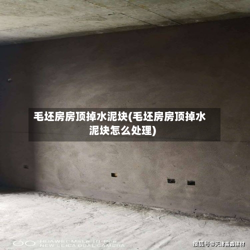毛坯房房顶掉水泥块(毛坯房房顶掉水泥块怎么处理)