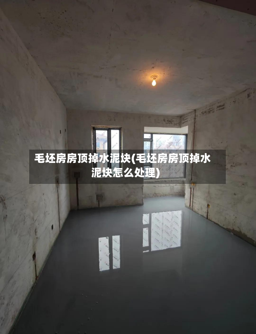 毛坯房房顶掉水泥块(毛坯房房顶掉水泥块怎么处理)-第2张图片