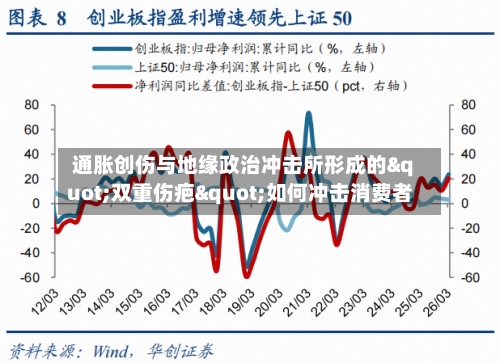 通胀创伤与地缘政治冲击所形成的"双重伤疤"如何冲击消费者