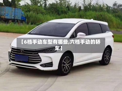 【6档手动车型有哪些,六档手动的轿车】-第2张图片