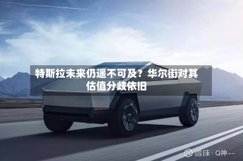 特斯拉未来仍遥不可及？华尔街对其估值分歧依旧