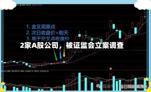 2家A股公司，被证监会立案调查