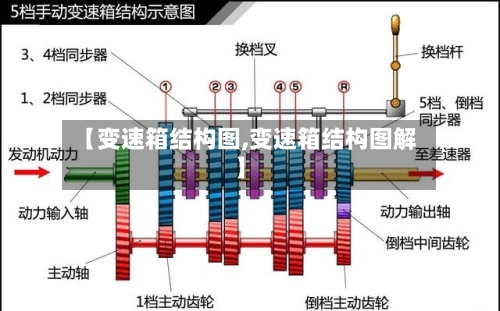 【变速箱结构图,变速箱结构图解】-第2张图片