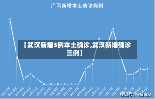 【武汉新增3例本土确诊,武汉新增确诊三例】-第3张图片