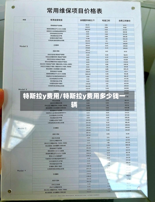 特斯拉y费用/特斯拉y费用多少钱一辆