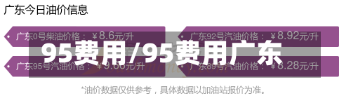 95费用/95费用广东-第3张图片