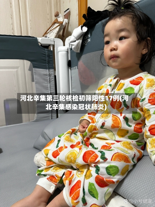 河北辛集第三轮核检初筛阳性17例(河北辛集感染冠状肺炎)-第3张图片