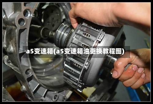 a5变速箱(a5变速箱油更换教程图)-第3张图片