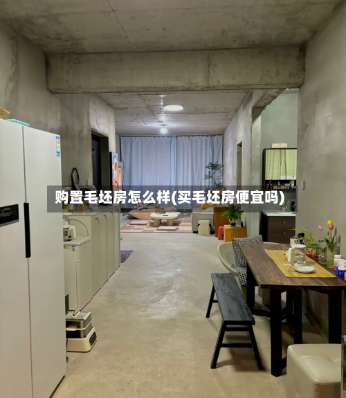 购置毛坯房怎么样(买毛坯房便宜吗)