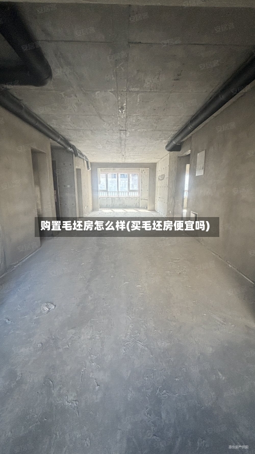 购置毛坯房怎么样(买毛坯房便宜吗)-第3张图片