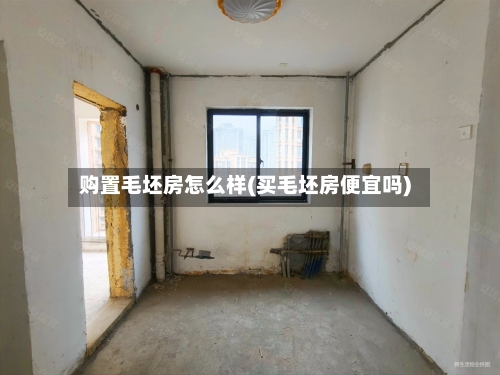 购置毛坯房怎么样(买毛坯房便宜吗)-第2张图片