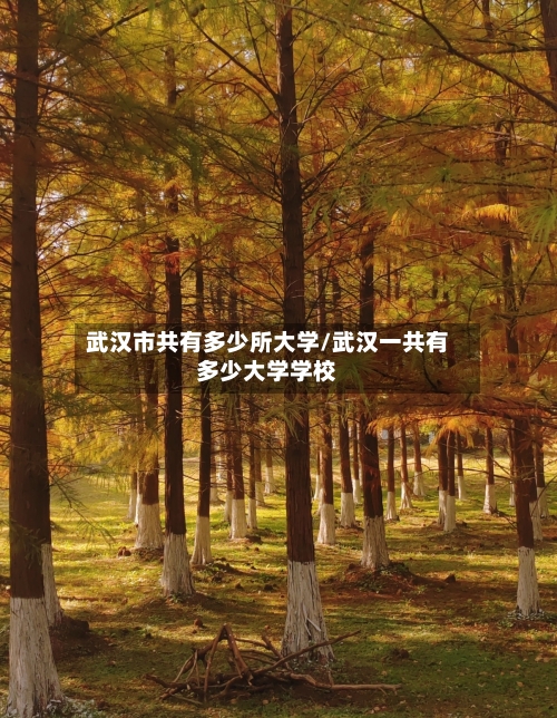 武汉市共有多少所大学/武汉一共有多少大学学校-第3张图片