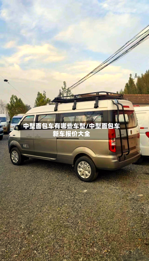 中型面包车有哪些车型/中型面包车新车报价大全