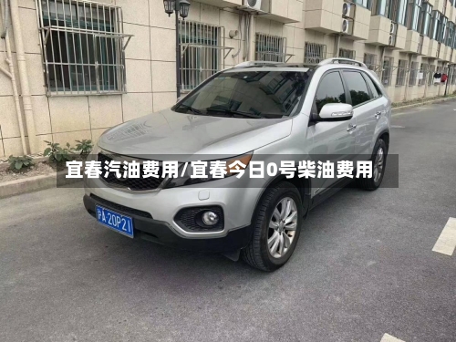 宜春汽油费用/宜春今日0号柴油费用