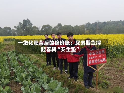 一袋化肥背后的稳价账：尿素期货撑起春耕“安全垫”-第2张图片