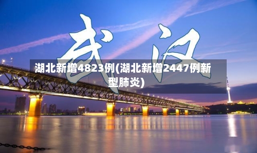 湖北新增4823例(湖北新增2447例新型肺炎)