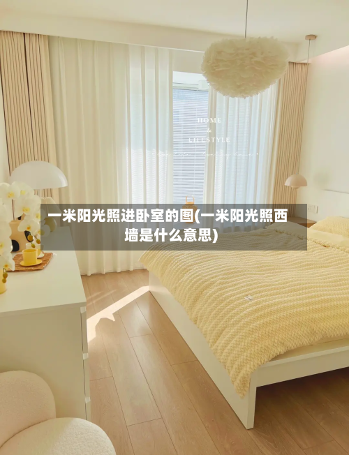 一米阳光照进卧室的图(一米阳光照西墙是什么意思)