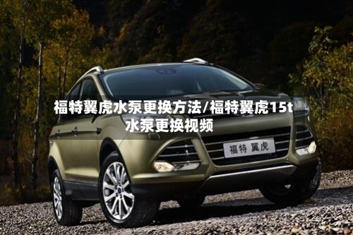 福特翼虎水泵更换方法/福特翼虎15t水泵更换视频-第2张图片