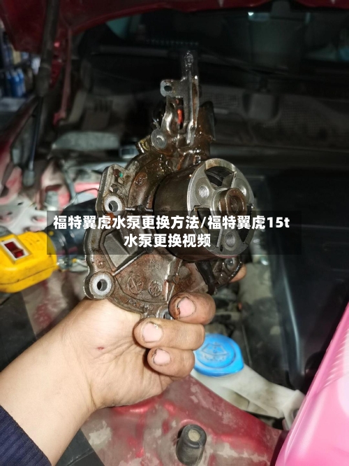 福特翼虎水泵更换方法/福特翼虎15t水泵更换视频
