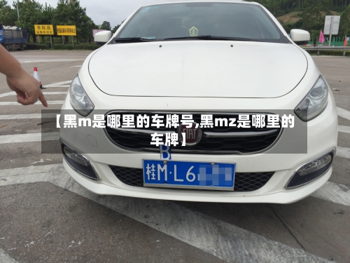 【黑m是哪里的车牌号,黑mz是哪里的车牌】-第2张图片