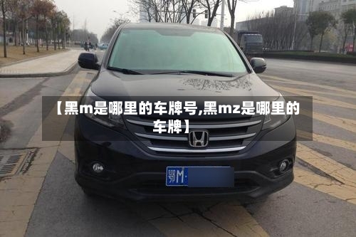 【黑m是哪里的车牌号,黑mz是哪里的车牌】-第3张图片