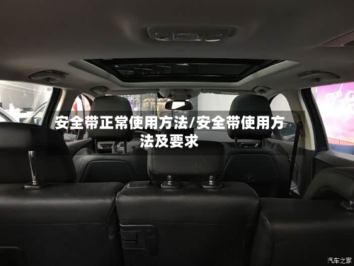 安全带正常使用方法/安全带使用方法及要求