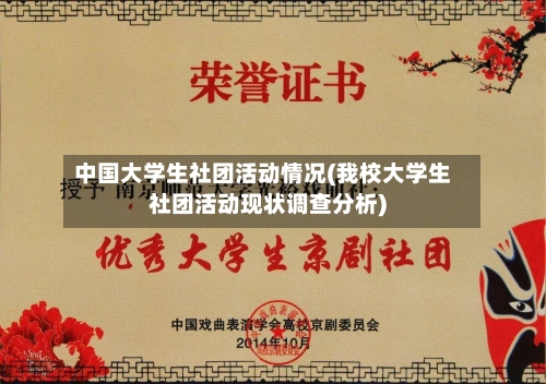 中国大学生社团活动情况(我校大学生社团活动现状调查分析)-第2张图片