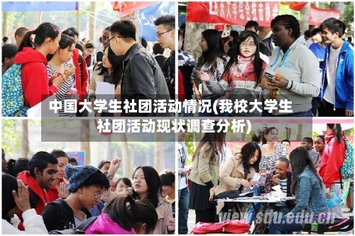 中国大学生社团活动情况(我校大学生社团活动现状调查分析)-第3张图片