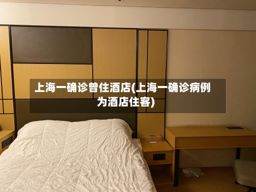 上海一确诊曾住酒店(上海一确诊病例为酒店住客)-第2张图片