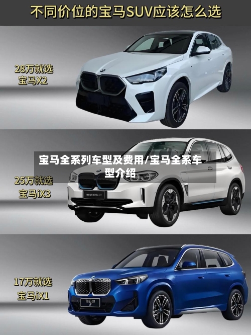 宝马全系列车型及费用/宝马全系车型介绍-第2张图片
