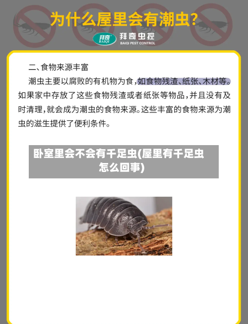 卧室里会不会有千足虫(屋里有千足虫怎么回事)-第2张图片