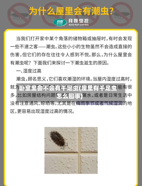 卧室里会不会有千足虫(屋里有千足虫怎么回事)