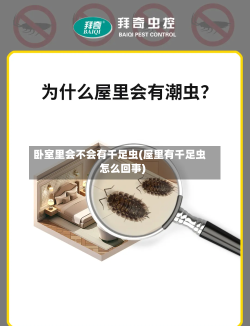 卧室里会不会有千足虫(屋里有千足虫怎么回事)-第3张图片