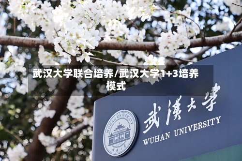 武汉大学联合培养/武汉大学1+3培养模式-第2张图片