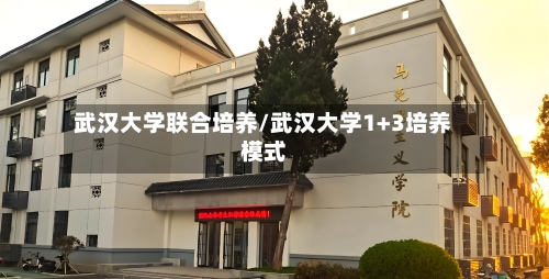 武汉大学联合培养/武汉大学1+3培养模式
