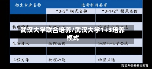 武汉大学联合培养/武汉大学1+3培养模式-第3张图片