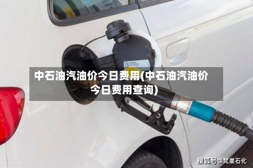 中石油汽油价今日费用(中石油汽油价今日费用查询)-第2张图片