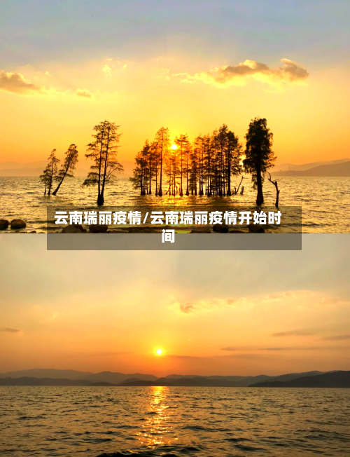 云南瑞丽疫情/云南瑞丽疫情开始时间