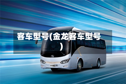 客车型号(金龙客车型号)