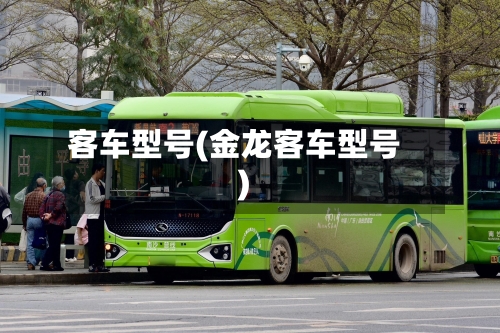 客车型号(金龙客车型号)-第3张图片