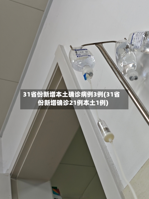 31省份新增本土确诊病例3例(31省份新增确诊21例本土1例)-第3张图片