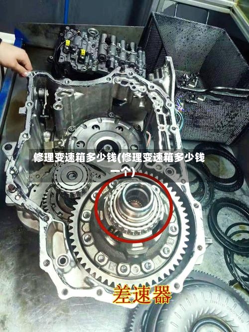 修理变速箱多少钱(修理变速箱多少钱一个)