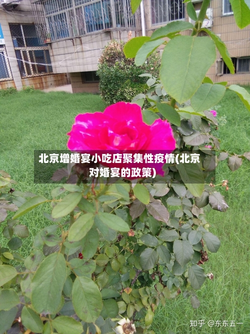 北京增婚宴小吃店聚集性疫情(北京对婚宴的政策)