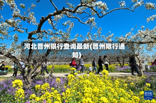 河北晋州限行查询最新(晋州限行通知)-第2张图片