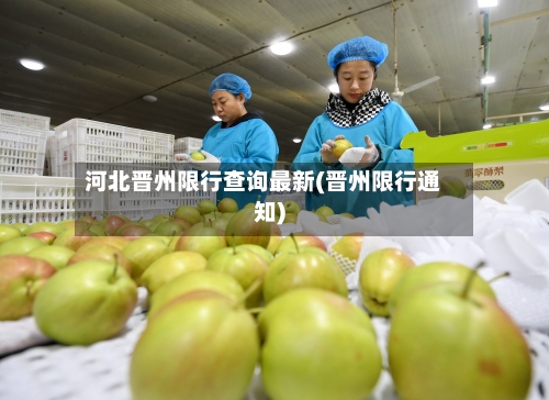 河北晋州限行查询最新(晋州限行通知)